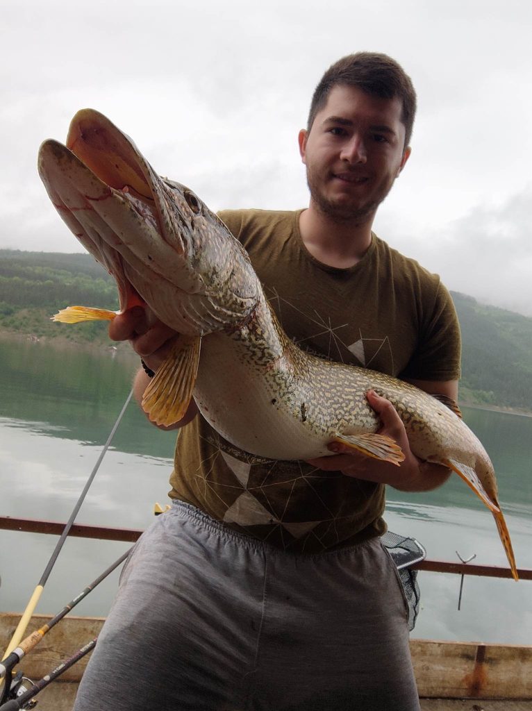 Strahinja Ćopić, Piroćanac, uhvatio je na dvodelnog voblera na Zavojskom jezeru na Staroj planini kapitalnu štuku od 9.3 kilograma, dugačku 1.1 metara.