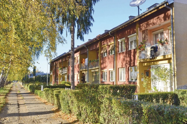 Photo of Tigrovo naselje ko Vembli