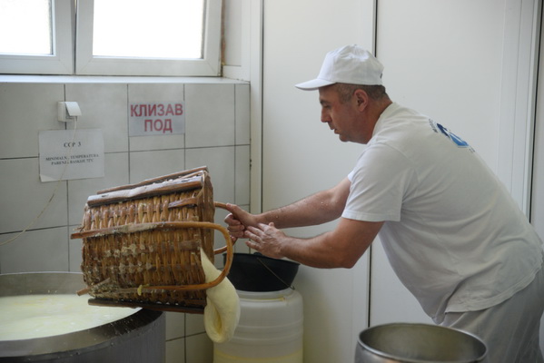 kackavlja peglana ministarka poljoprivrede_09