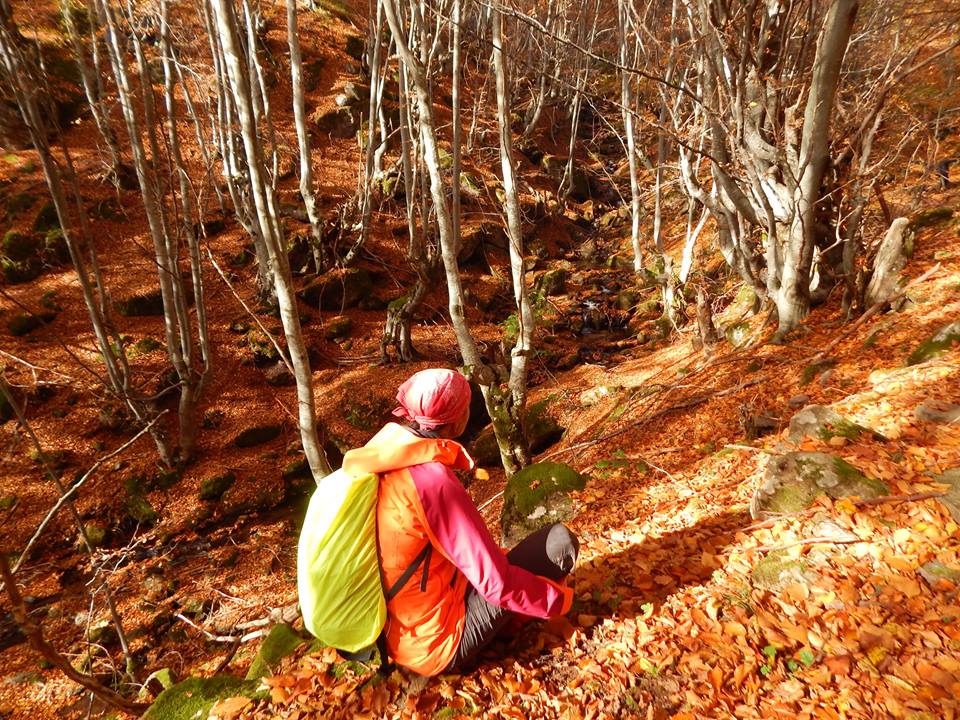 12193281_10208720307904134_6080839352303970308_n