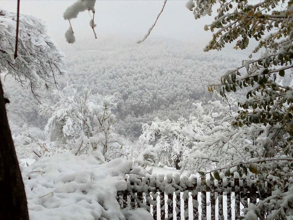 Photo of Stigla zima, snez zatrpao planinska sela u Babušnici (FOTO)
