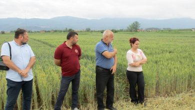 dani polja poljoprivredna stručna služba pirot