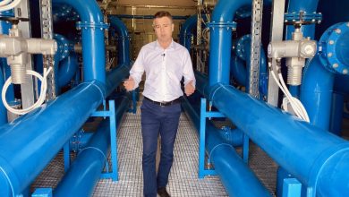 pirot da bude zeleni grad