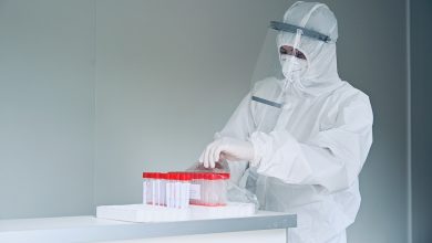 pirot korona zavod za javno zdravlje