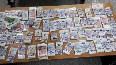 funte zaplena gradina