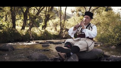 dusan antić frulaš