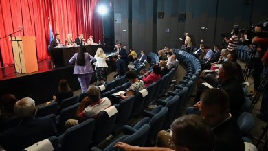 konstitutivna skupština pirot