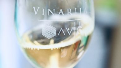 vinarija savić pirot