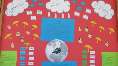 oš osmi septembar pirot