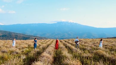spot premudri bože snimanje pirot
