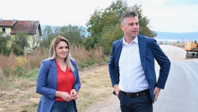 ivana stojičić vladan vasić