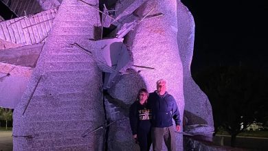 zoran mojsilov severna ruža