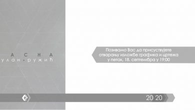 izlozba galerija pirot jasna gulan ruzic