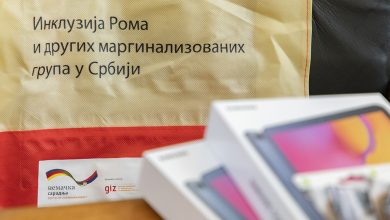 ternipe pirot romi giz inkluzija