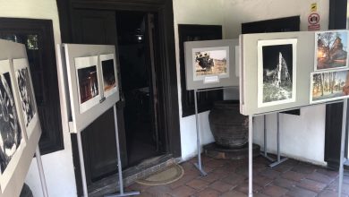 Photo of Evropski dan kulturne baštine: Fotografije kulturnog nasleđa Grada Pirota u dvorištu Muzeja Ponišavlja