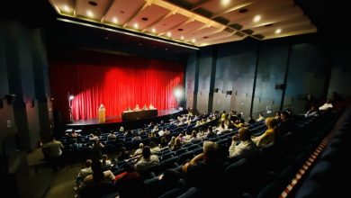 sednica gradskog parlamenta pirot