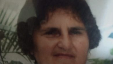 nestala kaja cvetković iz pirota