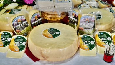 Photo of Organski ovčiji sir i kačkavalj – novitet na srpskom tržištu