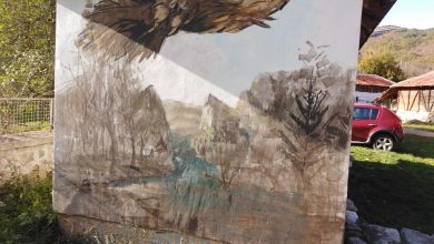 jerma vlasi umetnici kolonija