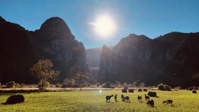 jesen kanjon jerme vlasi pirot