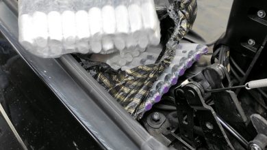 gradina zaplena carina policija