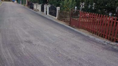 luznicka ulica rogoz