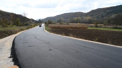 regionalni put pirot knjaževac