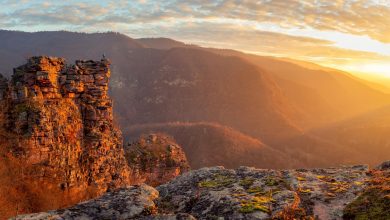 Srpski kolorado temska kanjon tumba