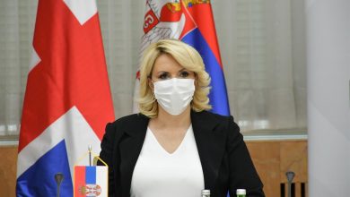 Darija kisic tepavcevic