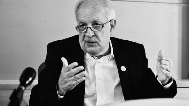 akademik ninoslav stojadinović