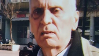 in memoriam dr svetislav nesic