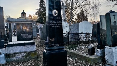 dr janko sjenkijevic