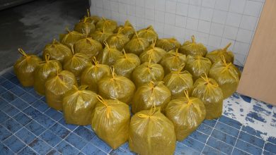 zaplenjen duvan pirot policija