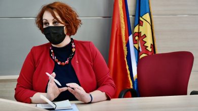 svetlana stefanović bfpe