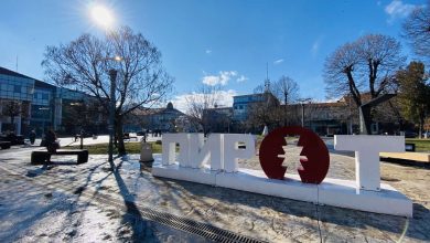 prolece pirot temperature