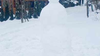 Photo of FOTO VEST: Na Planinarskom domu više od pola metra snega