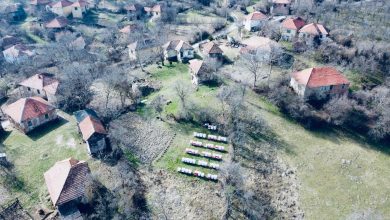 Pčelinjak u podnožju Stare planine
