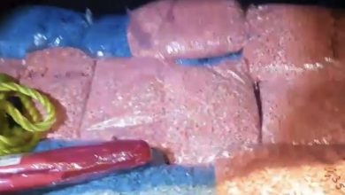 zaplenjena droga gradina