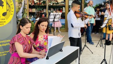 muzicka skola pirot koncert