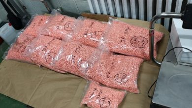 Photo of Pirotska policija: Zaplenjeno gotovo 70 kilograma narkotika
