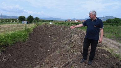 radovi prevencija poplave vodotokovi pirot