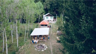 Kafana pod vedrim nebom - DEDINO OGNJIŠTE kod izletišta Vrelo na Staroj planini