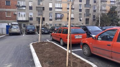 Photo of Uz podršku grada Pirota “Komunalac” zasadio još 450 stabala raznovrsnog drveća