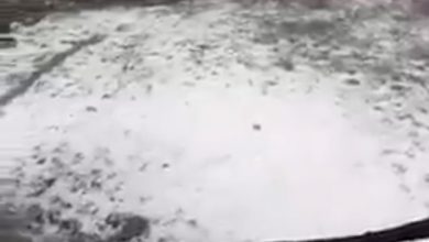 nevreme grad stara planina dojkinci